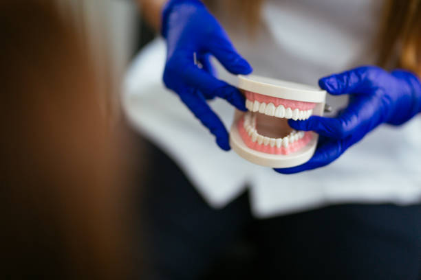 Reliable Twain Harte, CA Holistic Dental Care Services Solutions